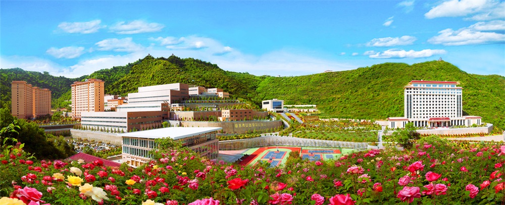 三季有花、四季常青的金徽礦區(qū)-p2.jpg